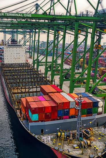 Vehicles ready for shipping